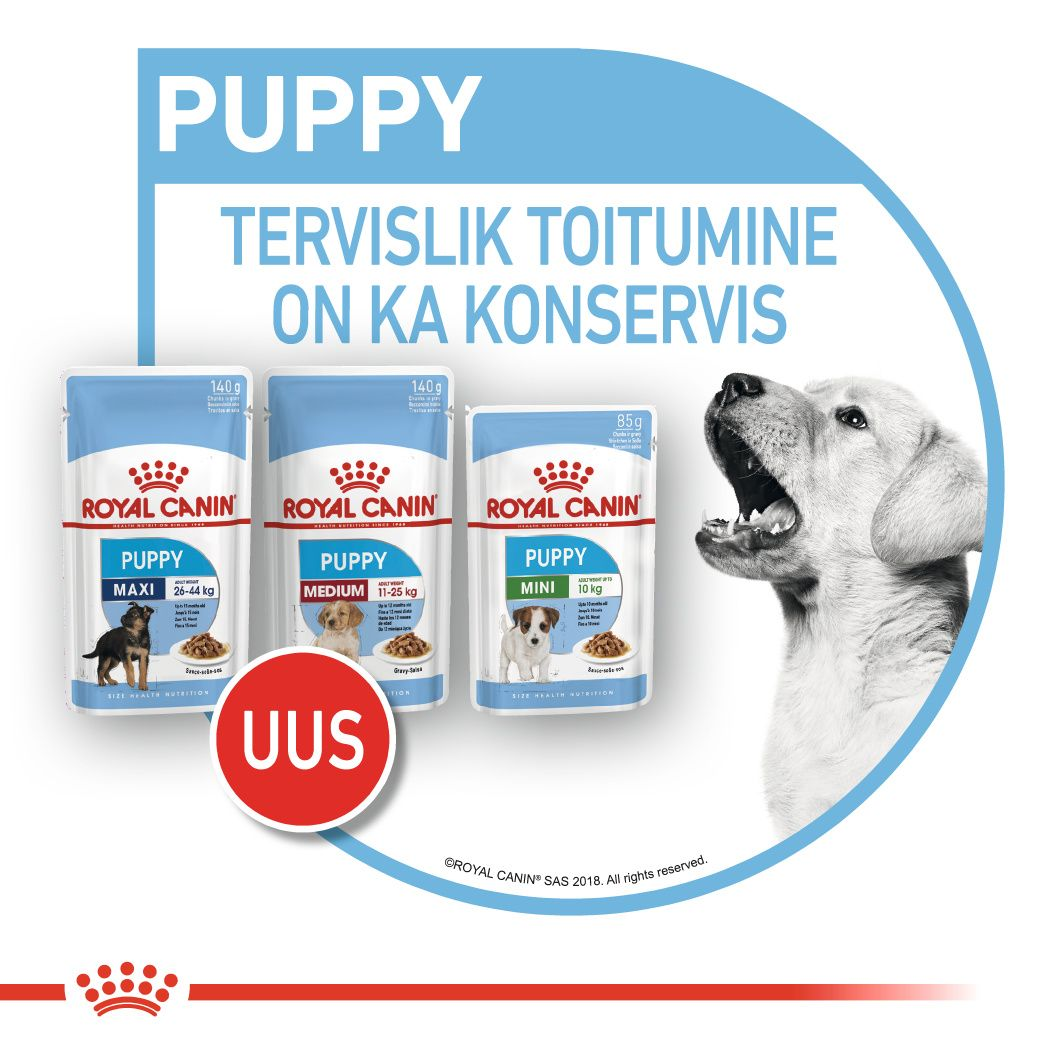 Royal Canin Medium Puppy konserv (tükid kastmes)