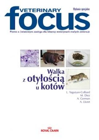 Walka z otyłością u kotów