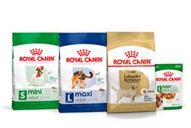 Productos para perros