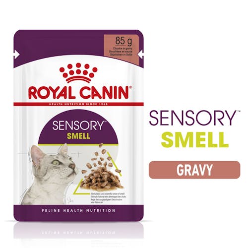 Sensory Smell Chunks In Gravy