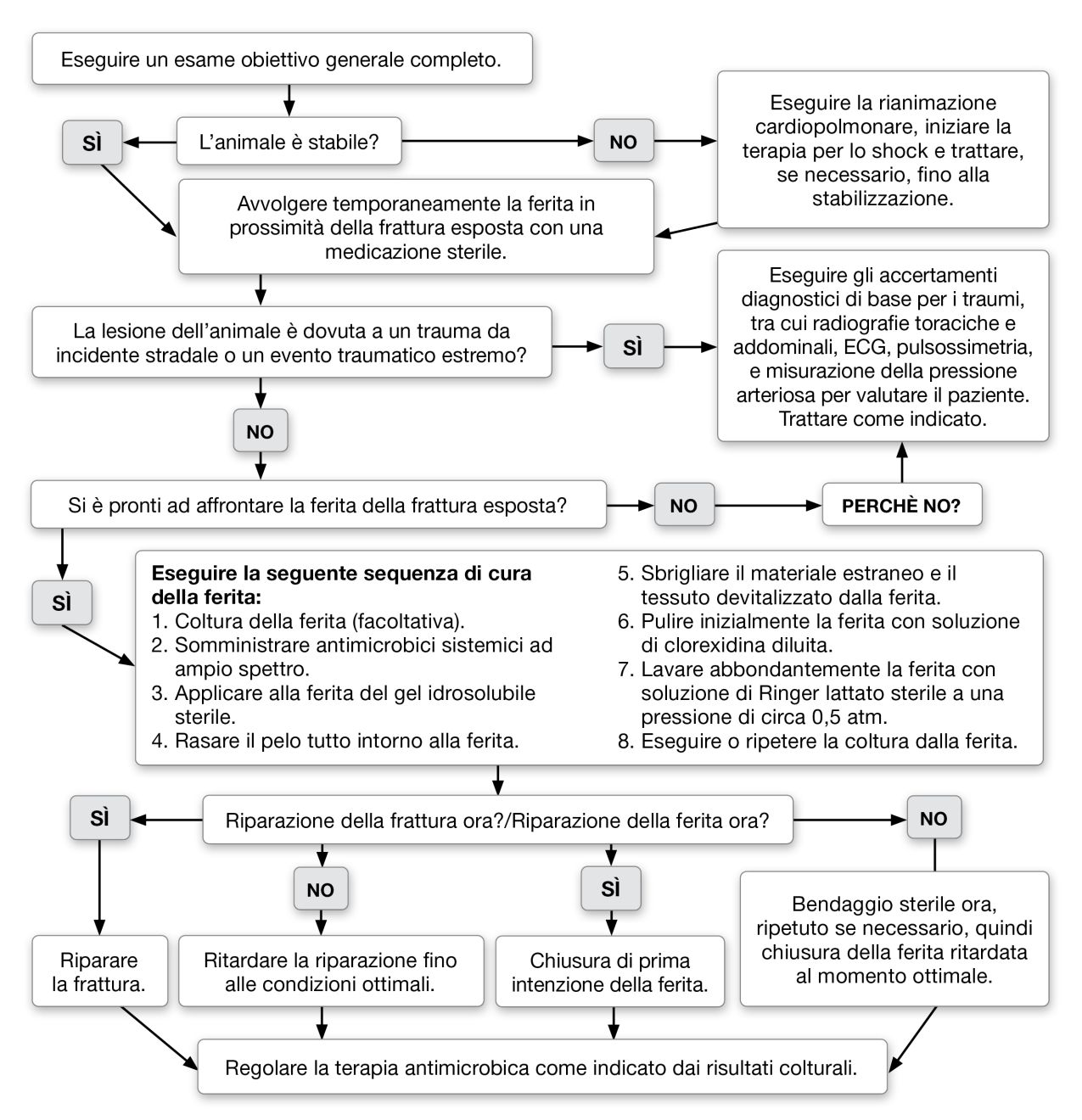 Figura 1. Gestione dell’emergenza nelle fratture esposte.