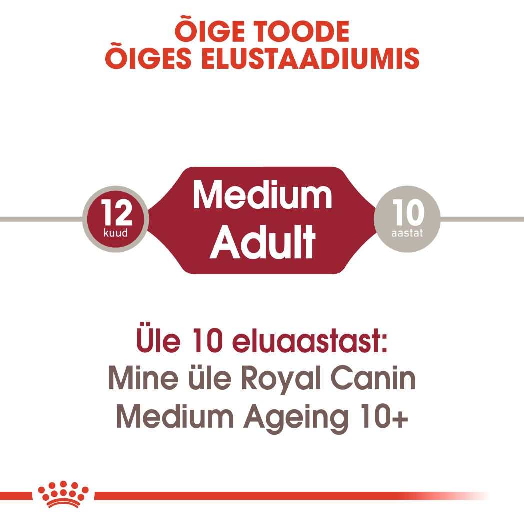 Royal Canin Medium Adult konserv (tükid kastmes)