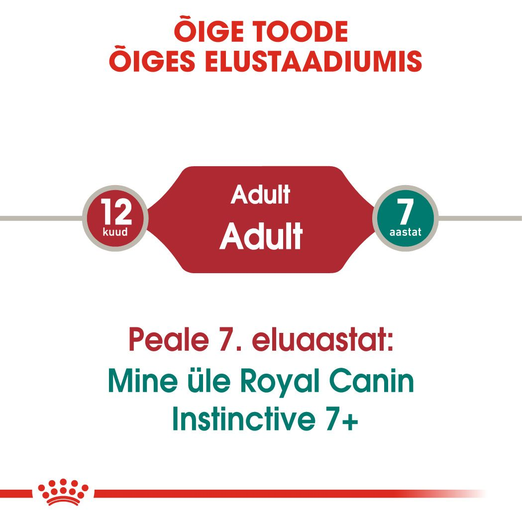 Royal Canin Instinctive konserv (õhukesed viilud želees)