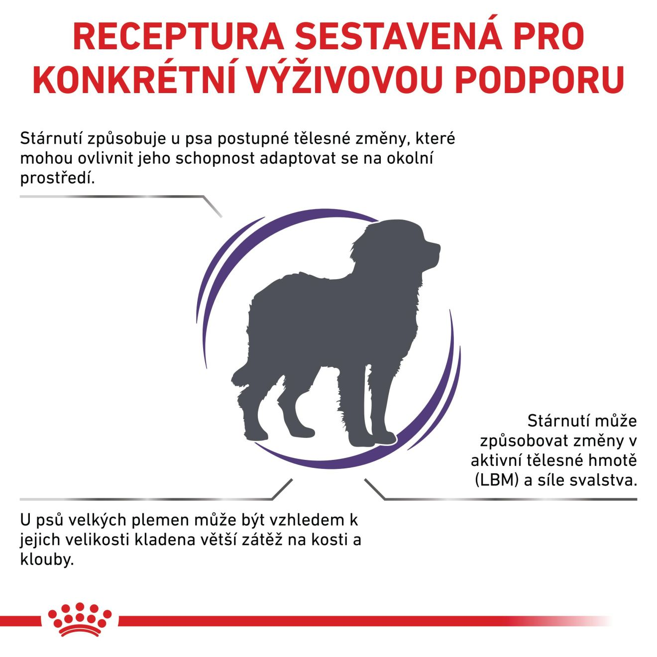 VHN Mature consult large dog