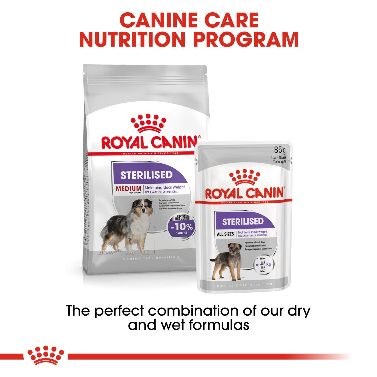 Royal canin shop sterilised medium