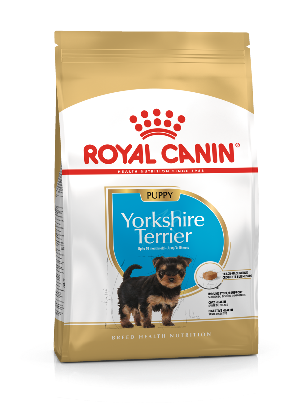Yorkshire Terrier Cachorro