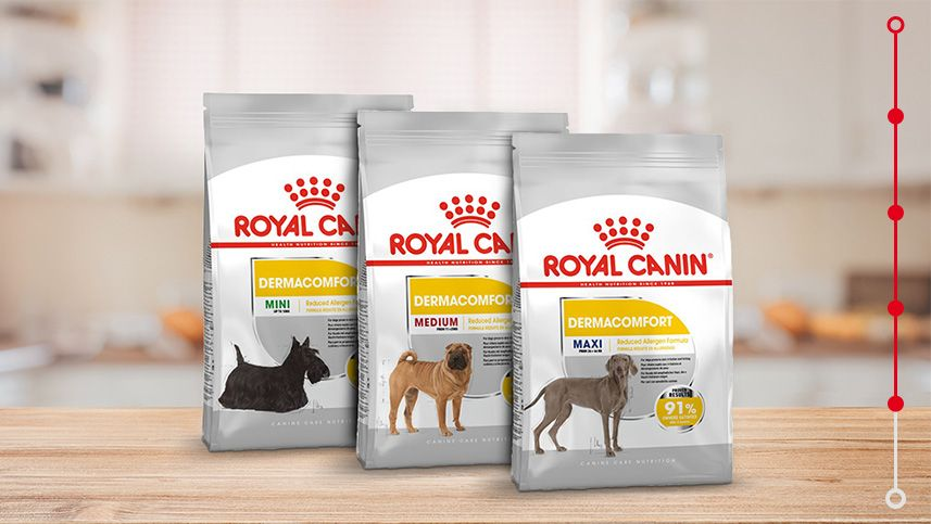 dry Royal Canin food for various breeds