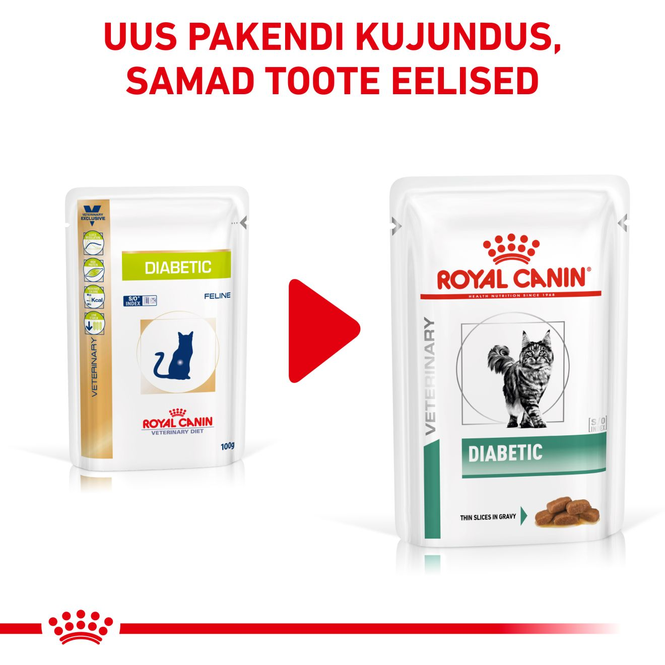 Royal Canin Diabetic Cat konserv (õhukesed viilud kastmes)
