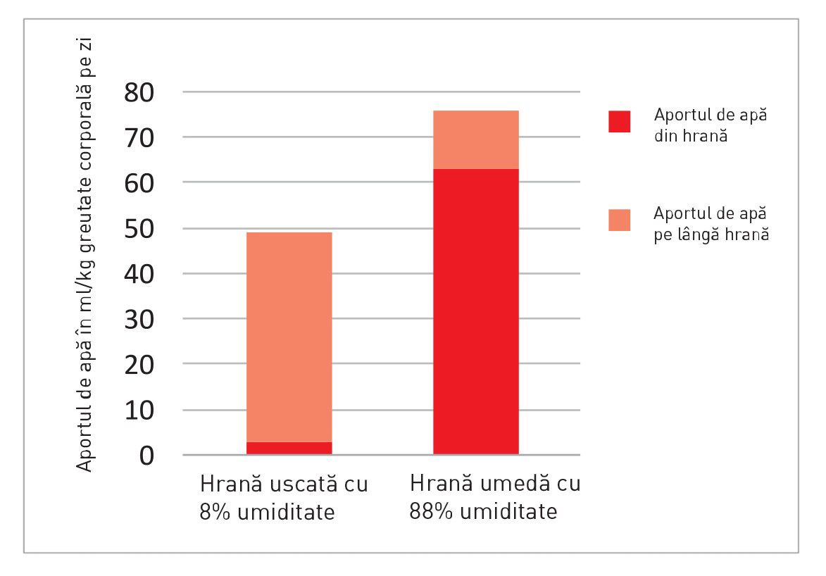 Aportul de lichide la pisici care consumă hrană uscată și umedă( 8 ).