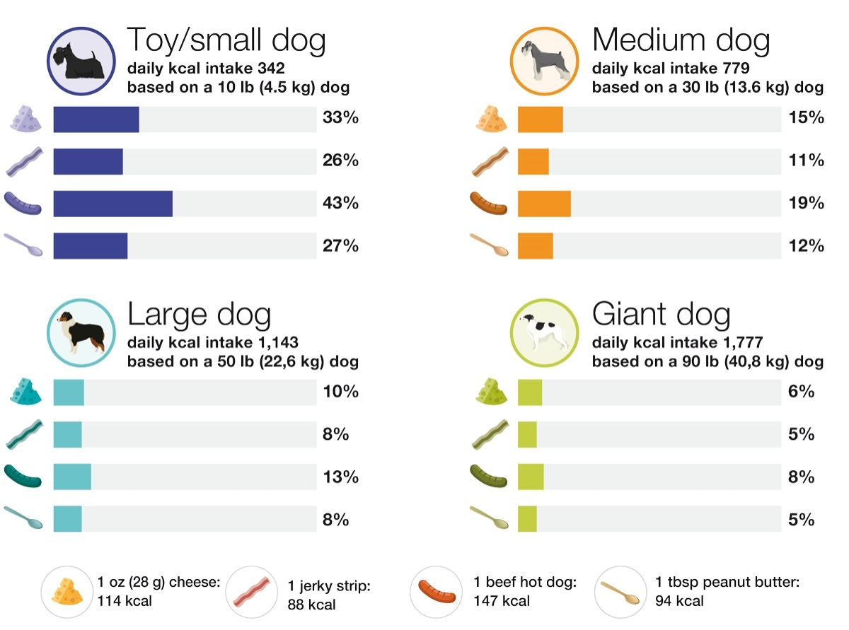 While dogs often receive human food as treats, pet owners may not realize that even in small quantities, human food can represent a large percent of a pet’s daily caloric requirement. As a general guideline, treats and human foods should not exceed 10% of total daily calories to avoid nutrient deficiencies and imbalances.