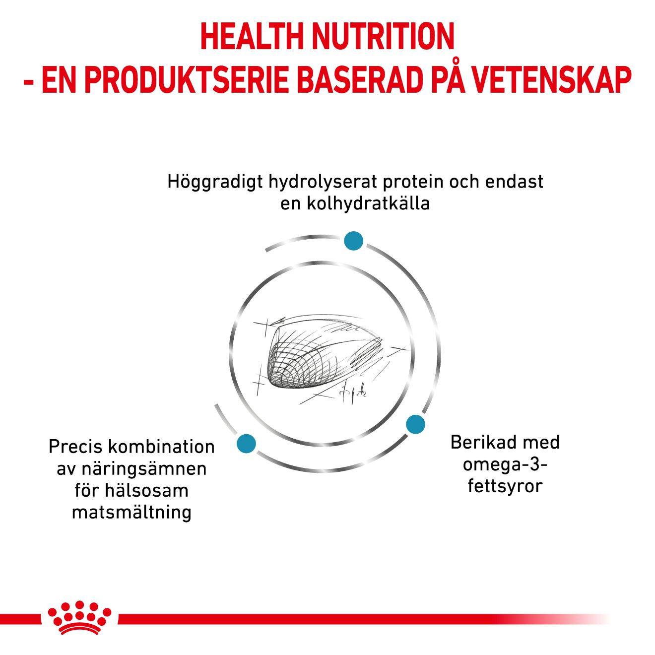 Derma Hypoallergenic