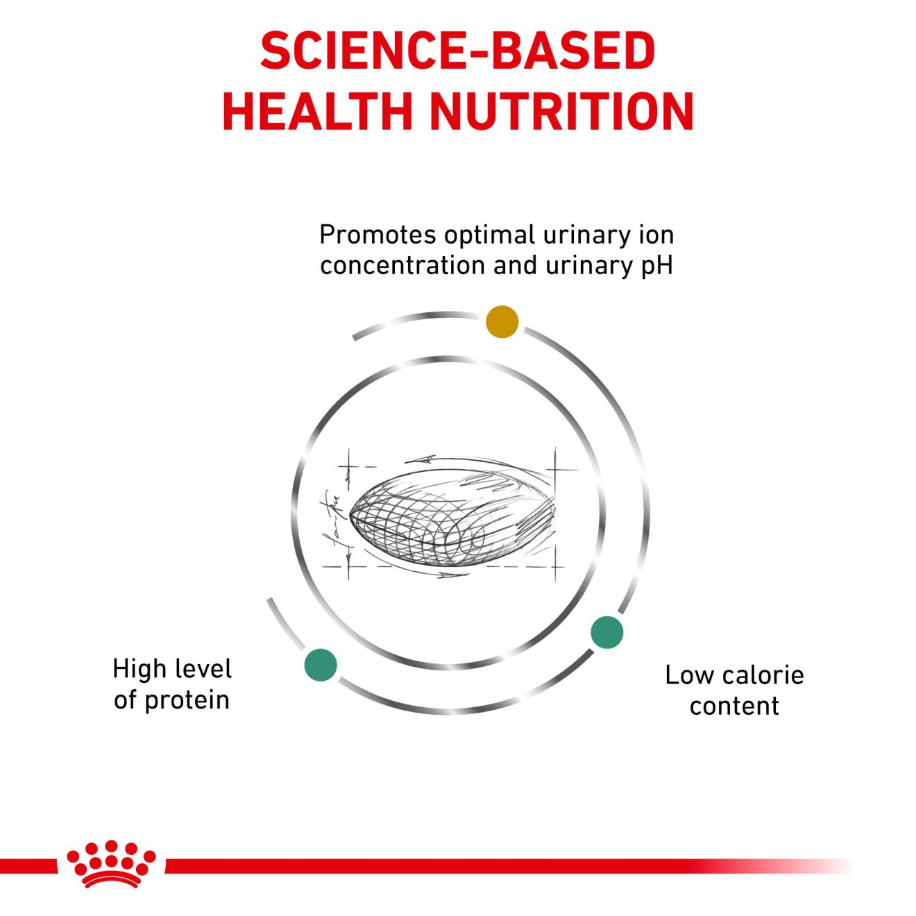 Royal canin hotsell urinary so satiety