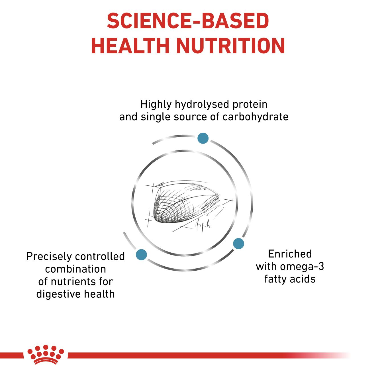 HYPOALLERGENIC für Katzen | Royal Canin DE