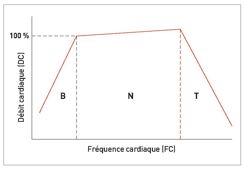 Relation entre le débit cardiaque (DC) et la fréquence cardiaque (FC) 