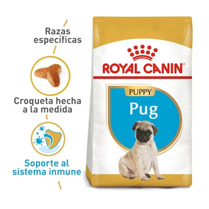 PUG PUPPY COLOMBIA 1