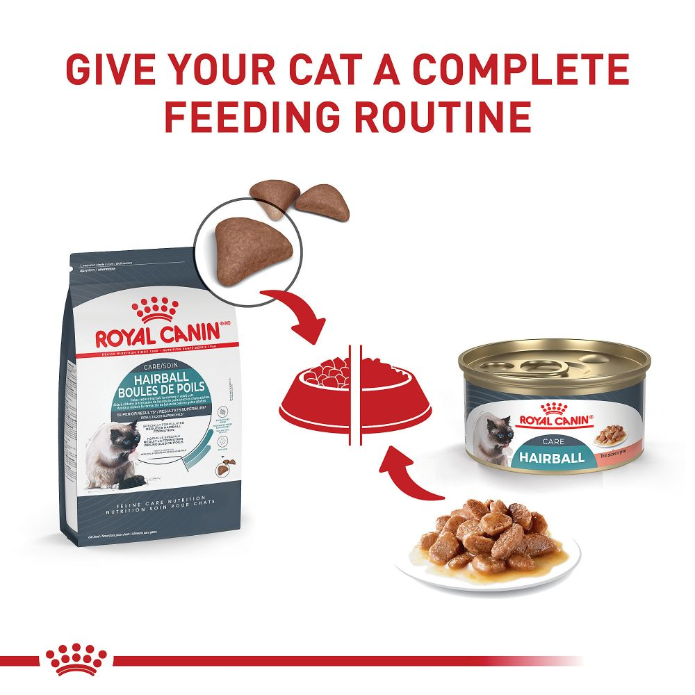 Hairball Care Dry Cat Food Royal Canin US